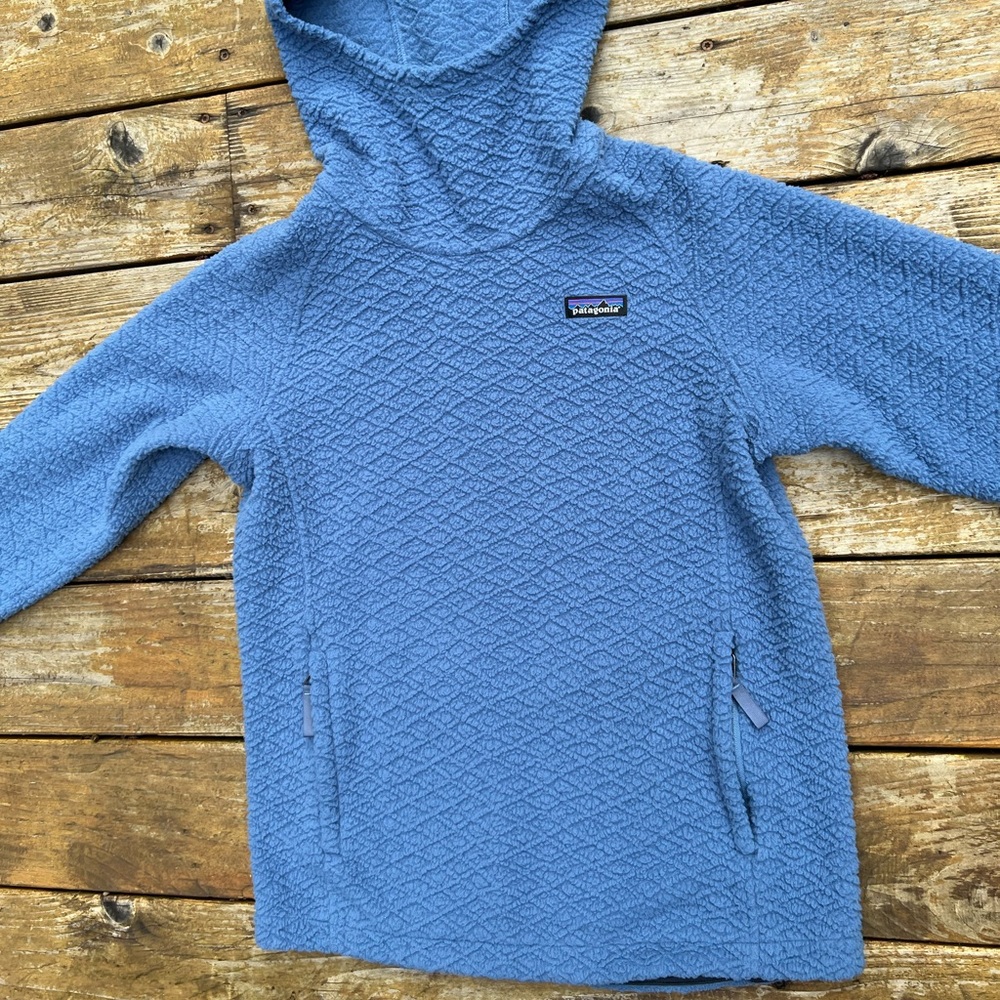 Patagonia Blue Hooded Fleece Pullover Jacket